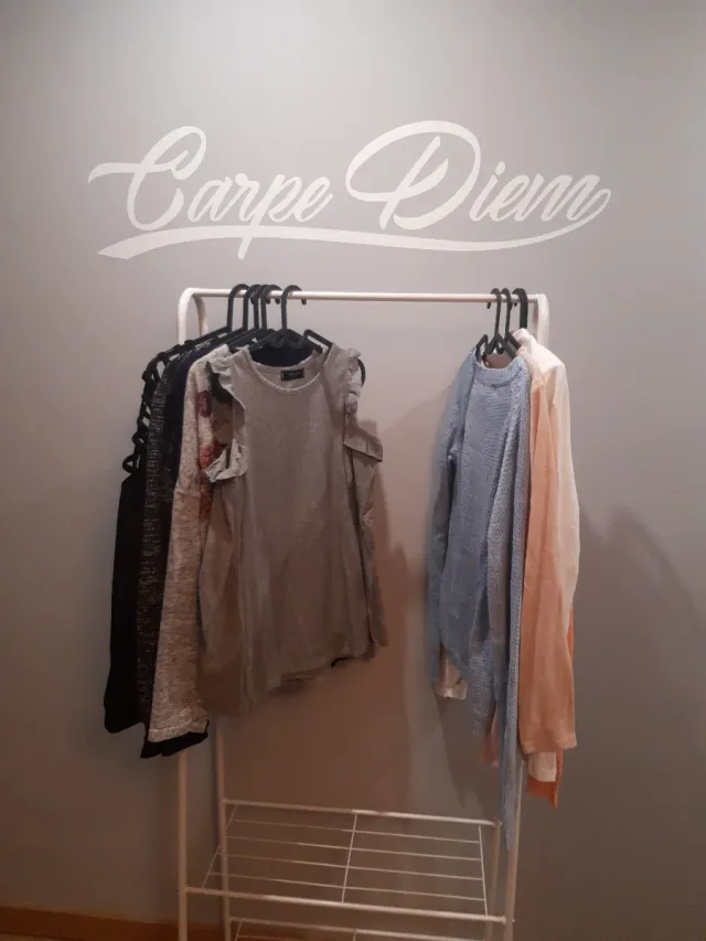 Lote de 9 camisetas manga larga = 15 euros