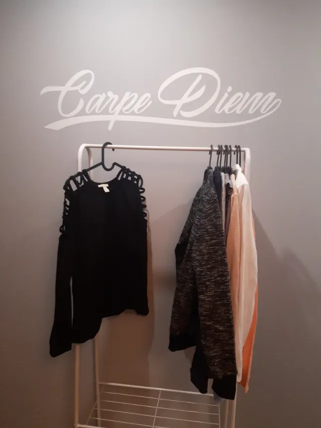 Lote de 9 camisetas manga larga = 15 euros