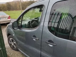 Citroen Berlingo 2010