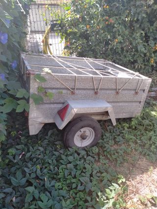 Remolque coche pequeño