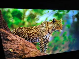 Smart TV LG 65 Negro