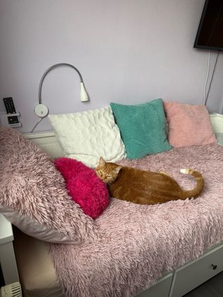 Diván Cama IKEA HEMNES + 2 Colchones