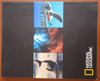 Las Mejores Fotografías De David Doubilet