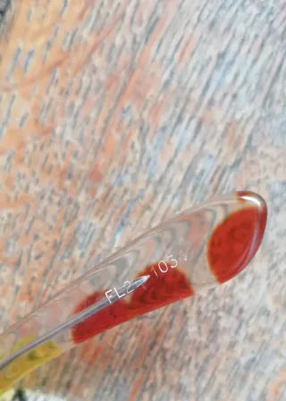 Occhiali Vintage Anni '60 Multicolor