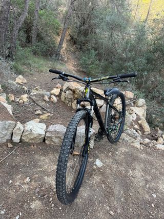 Bicicleta Specialized 29