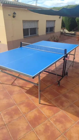 Mesa de ping pong azul