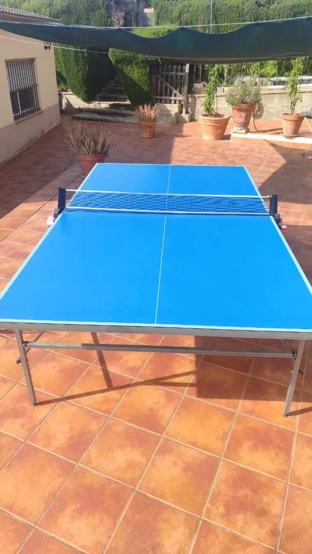 Mesa de ping pong azul