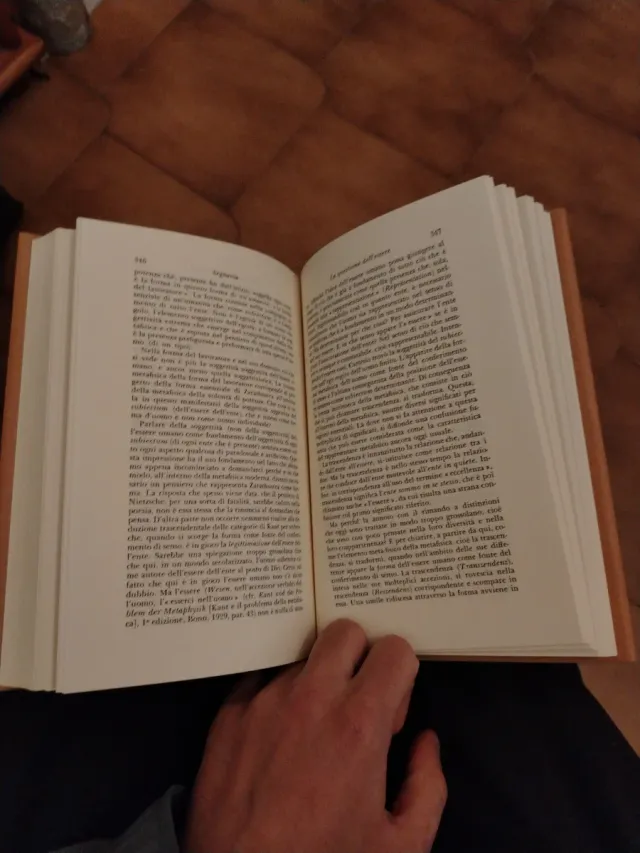 Martin Heidegger Segnavia Adelphi