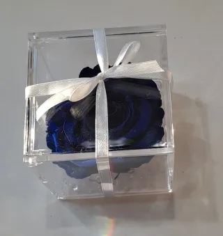 Rosa blu stabilizzata in scatola trasparente