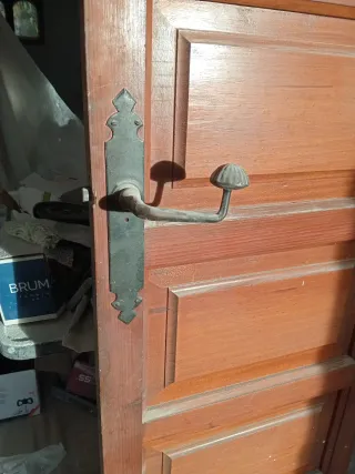 Puerta interior madera