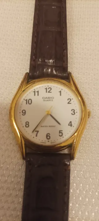 Reloj Casio Dorado y Marrón