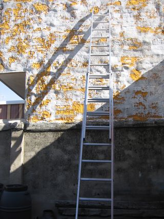 Escalera PROFESIONAL PLABELL 2*12 Aluminio. NUEVA