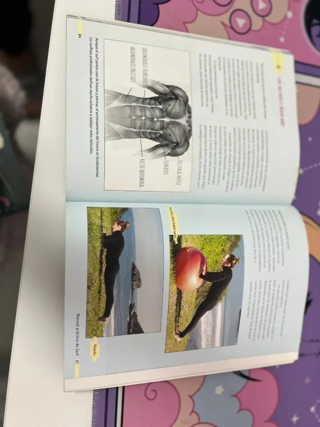 Manual práctico de surf: Todo lo que necesitas ...