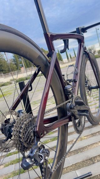 Bicicleta Specialized Tarmac Pro SL7