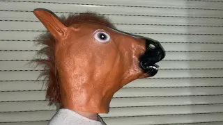 Disfraz Cabeza de Caballo