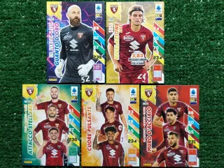 5 carte Adrenalyn XL Titans Panini Torino 2025
