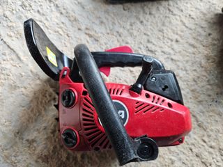 Motosega potatura Lea