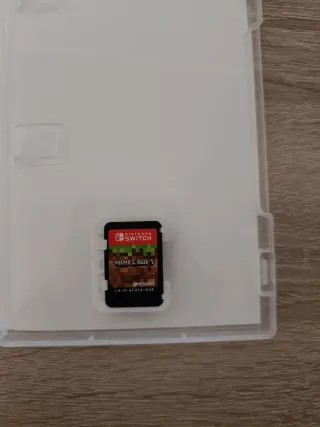 Minecraft Nintendo Switch