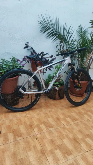 Bicicleta Coluer Pragma