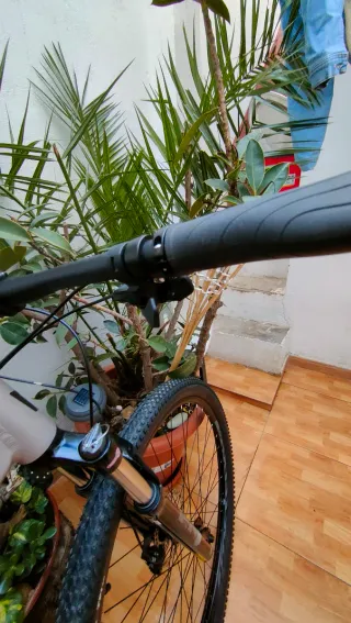 Bicicleta Coluer Pragma