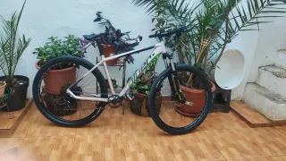Bicicleta Coluer Pragma