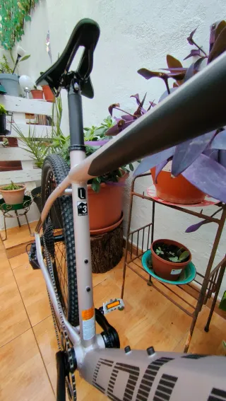 Bicicleta Coluer Pragma