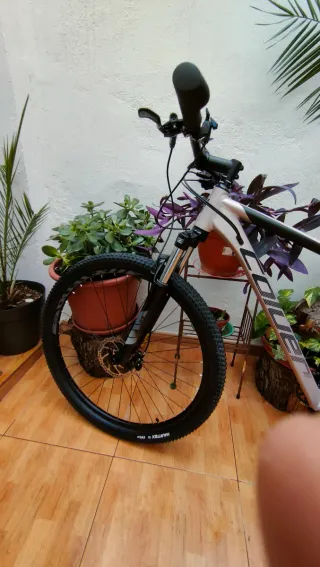 Bicicleta Coluer Pragma