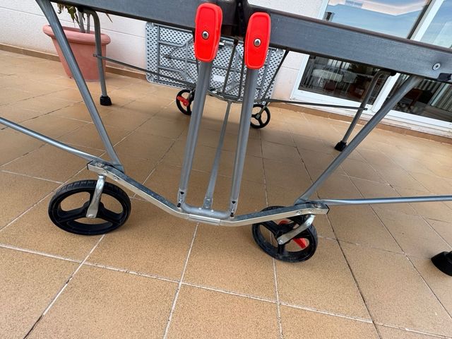 Mesa de ping pong plegable