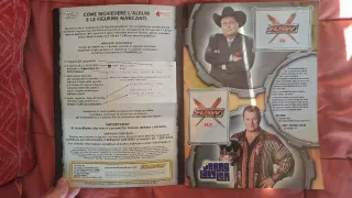 WWE Wrestling due album figurine Metlin Stickers