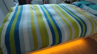 Edredón plumón 90% y funda algodón