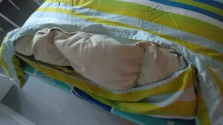 Edredón plumón 90% y funda algodón