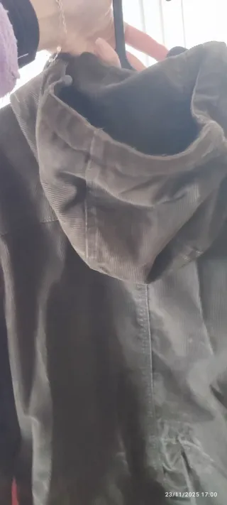 Abrigo pana Springfield hombre