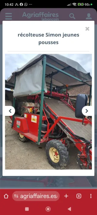 Cosechadora nabizas/grelos