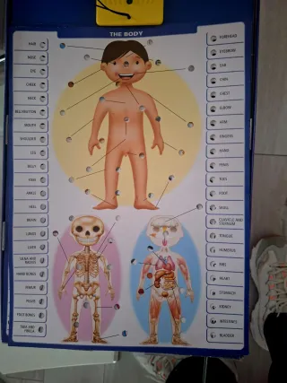 Juego Educativo Aprendo Inglés CONECTOR