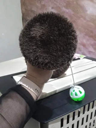 Tiragraffi per gatti con giochi