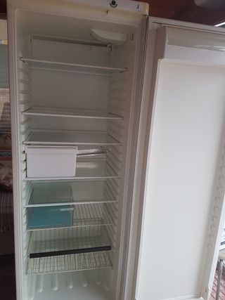 Para recojer en torremocha de jarama