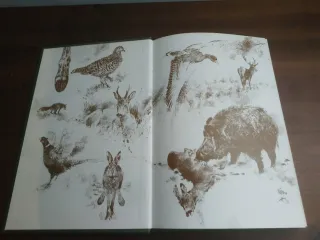 Libro El Bosque Vivo