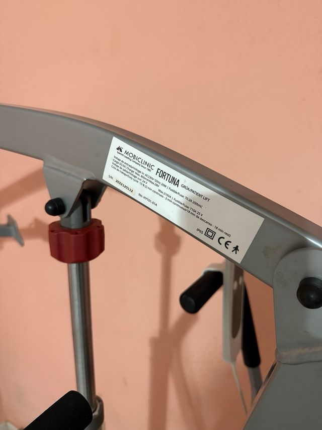 Grúa translado personas dependientes fortuna