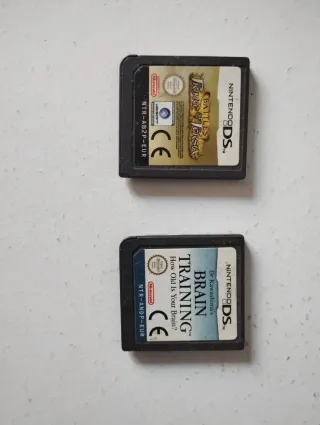 Juegos Nintendo DS: Prince of Persia y Brain Train