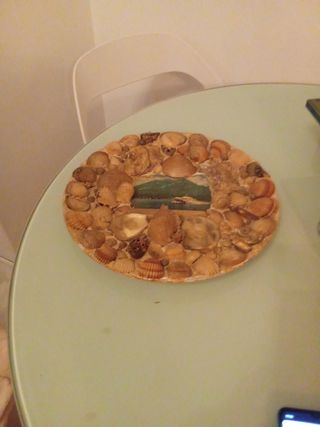 Piatto Decorativo Vintage Conchiglie
