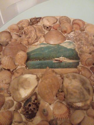 Piatto Decorativo Vintage Conchiglie