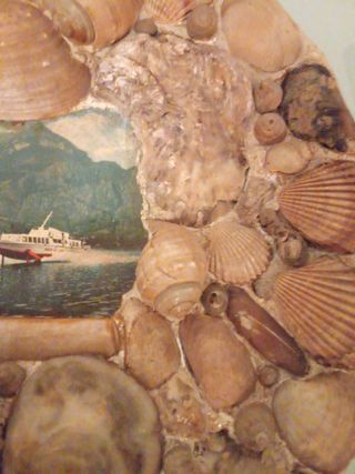 Piatto Decorativo Vintage Conchiglie