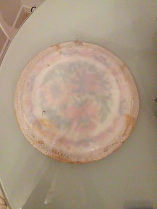 Piatto Decorativo Vintage Conchiglie