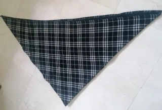 Capa Burberry Cuadros