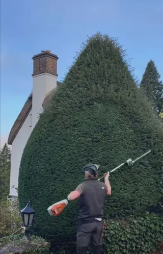 Jardinero económico