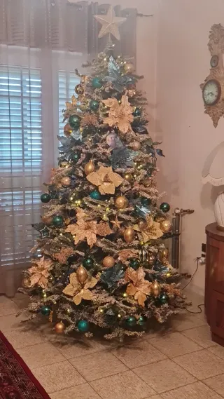 Albero di Natale senza decorazioni