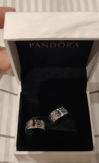 2 Clips Pandora Plata