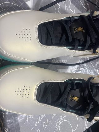 Zapatillas Nike Coleccionista Beige y Dorado