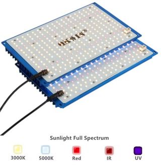 GANGA! KIT ARMARIO DE CULTIVO INTERIOR