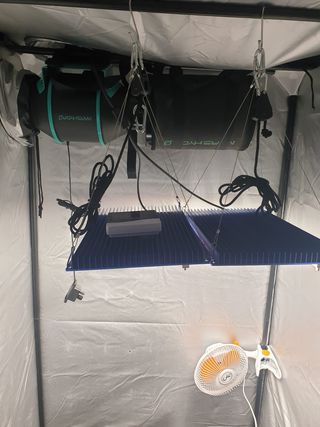 GANGA! KIT ARMARIO DE CULTIVO INTERIOR